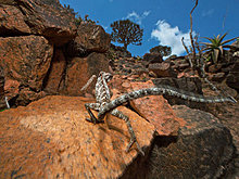 national_geographic_july_2012_09.jpg