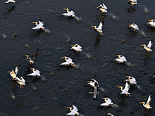 national_geographic_july_2012_25.jpg