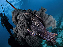 national_geographic_july_2012_39.jpg