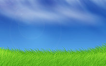 grass-sky.jpg