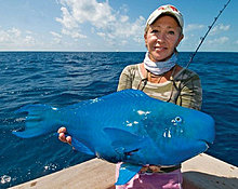the_blue_parrotfish.jpg