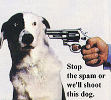stop-shoot_the_dog.jpg