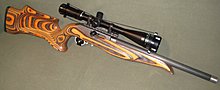 canadian_custom_ruger_1022.jpg