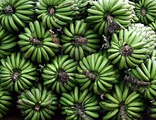 3384395-green-bananas-stack.jpg