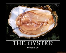 oyster-demotivational-poster-1239283913.jpg
