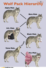 funny-graphs-i-tend-think-myself-one-man-wolf-pack.png