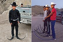 pointy-mexican-boots-550x366.jpg