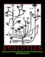 evolution01si1.jpg
