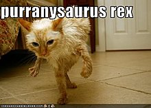 funny-pictures-cat-dinosaur.jpg