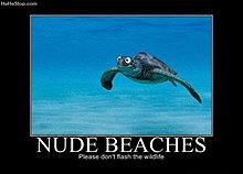 nude_beaches.jpg