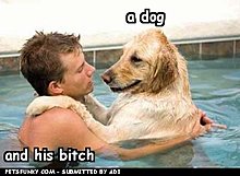funny-pictures-dog-79f8cb7b5f.jpg