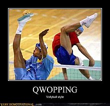 demotivational-posters-qwopping1.jpg