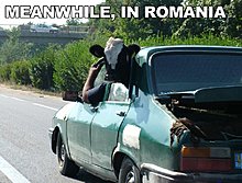 meanwhile-romania.jpg