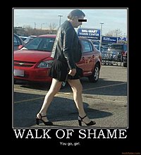 walk-shame-walk-shame-demotivational-poster-1259857032.jpg